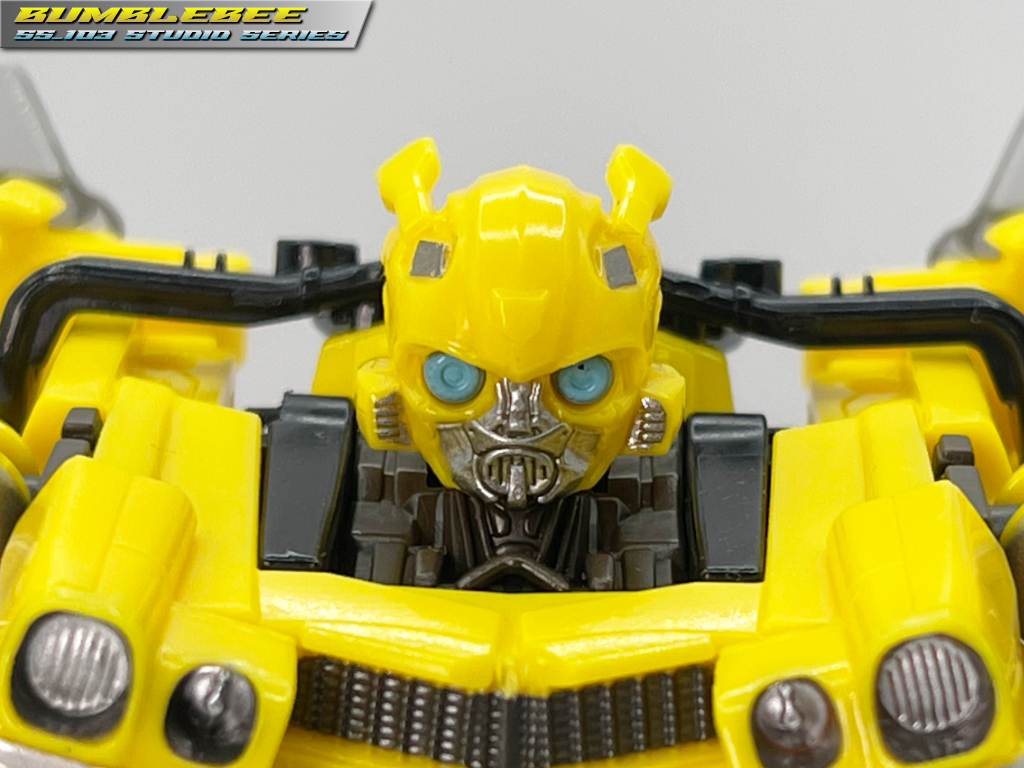 ss-103_bumblebee_head1